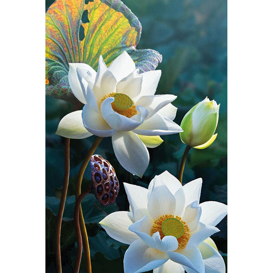 Diamond painting - LC051e - The Tenderness of the Lotus Image 3