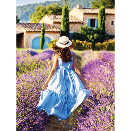 Painting by numbers - ME1150e - Provence get-away