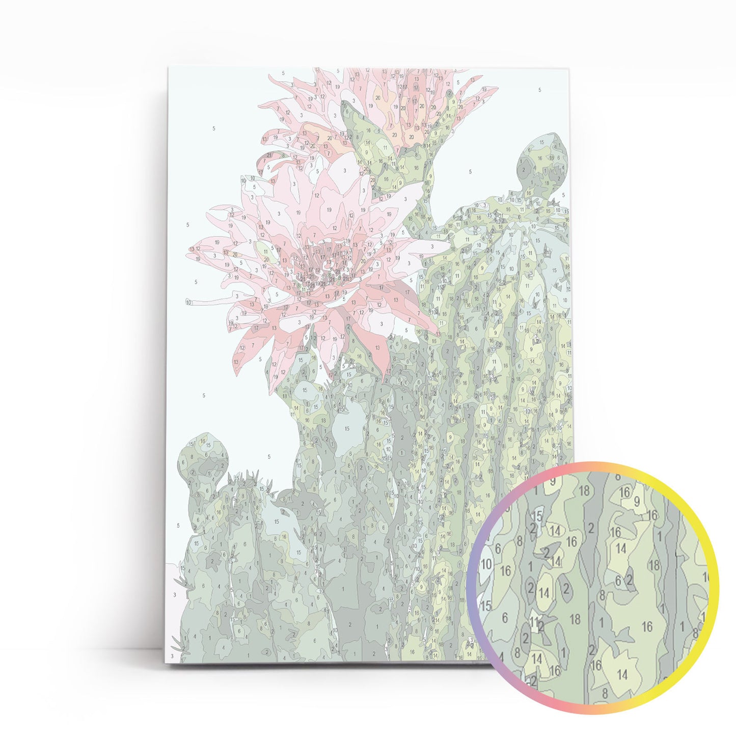 Painting by numbers - MC1136e - Blossoming cactus