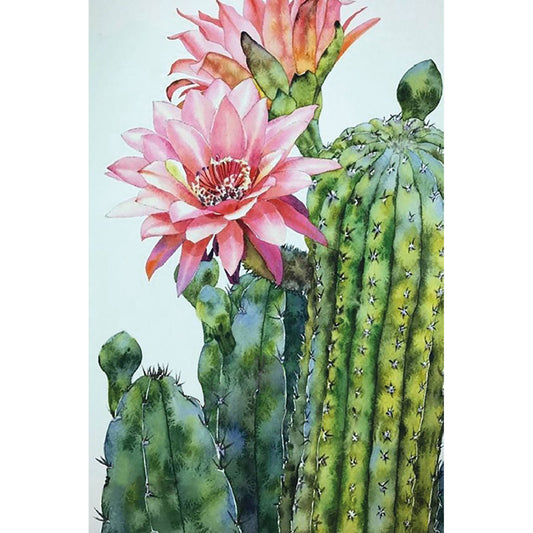 Painting by numbers - MC1136e - Blossoming cactus