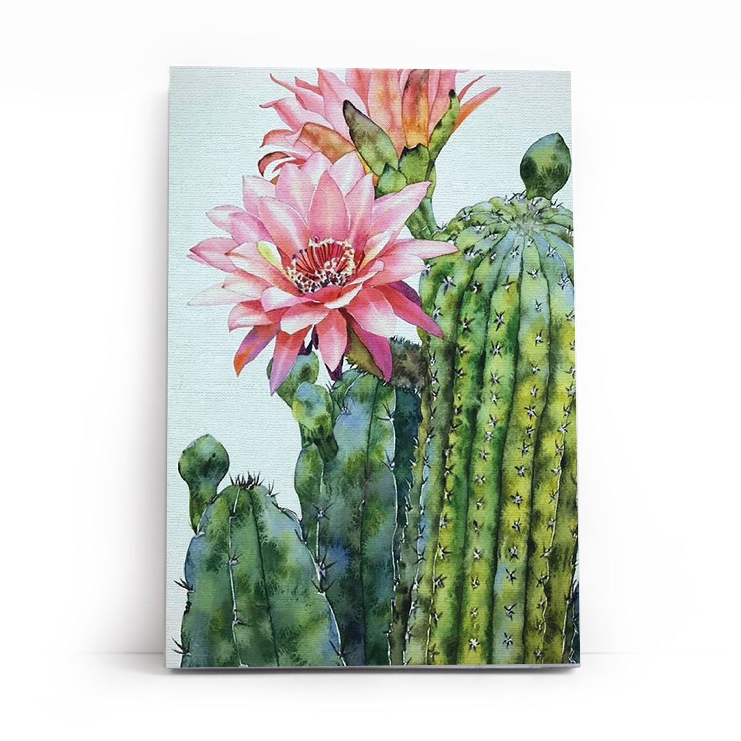 Painting by numbers - MC1136e - Blossoming cactus Image 1