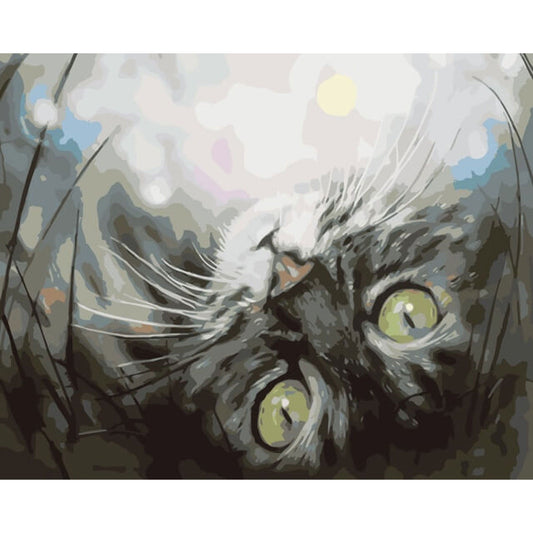 Painting by numbers - ME1074e - Dreaming Kitten