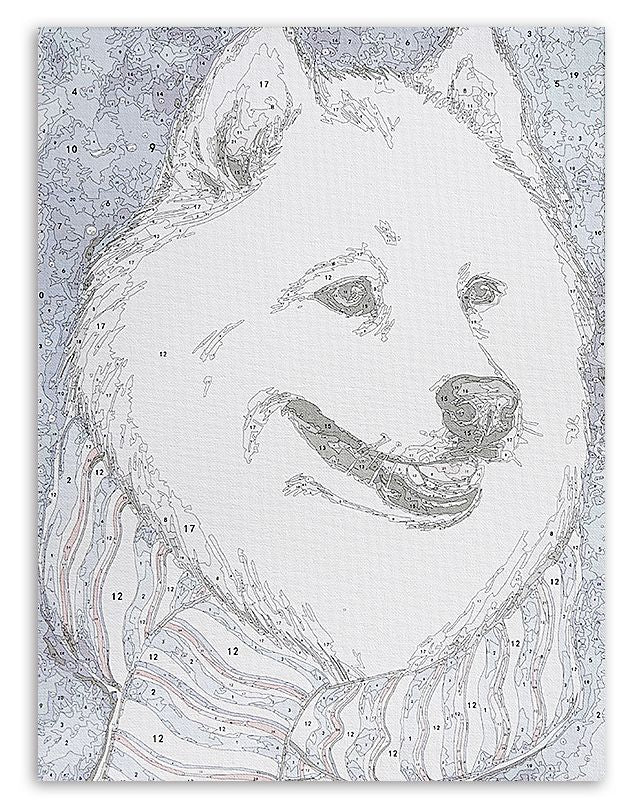 Painting by numbers - ME1111e - Fluffy White Dog Image 6