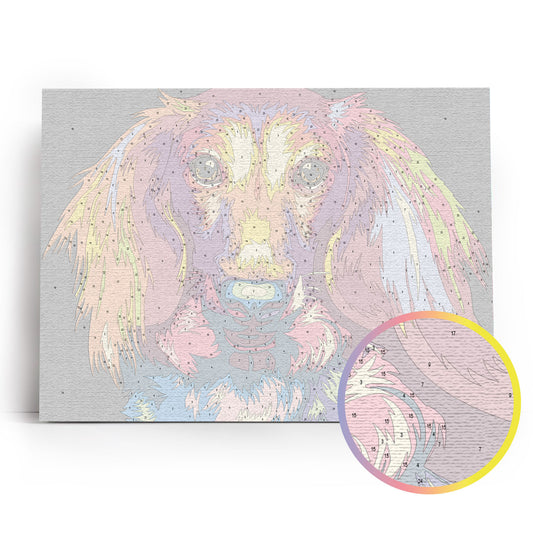 Painting by numbers - ME1143e - Through the eyes of a dachshund