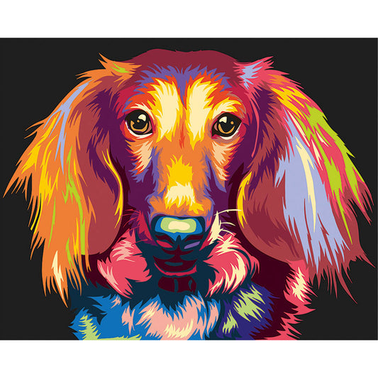 Painting by numbers - ME1143e - Through the eyes of a dachshund