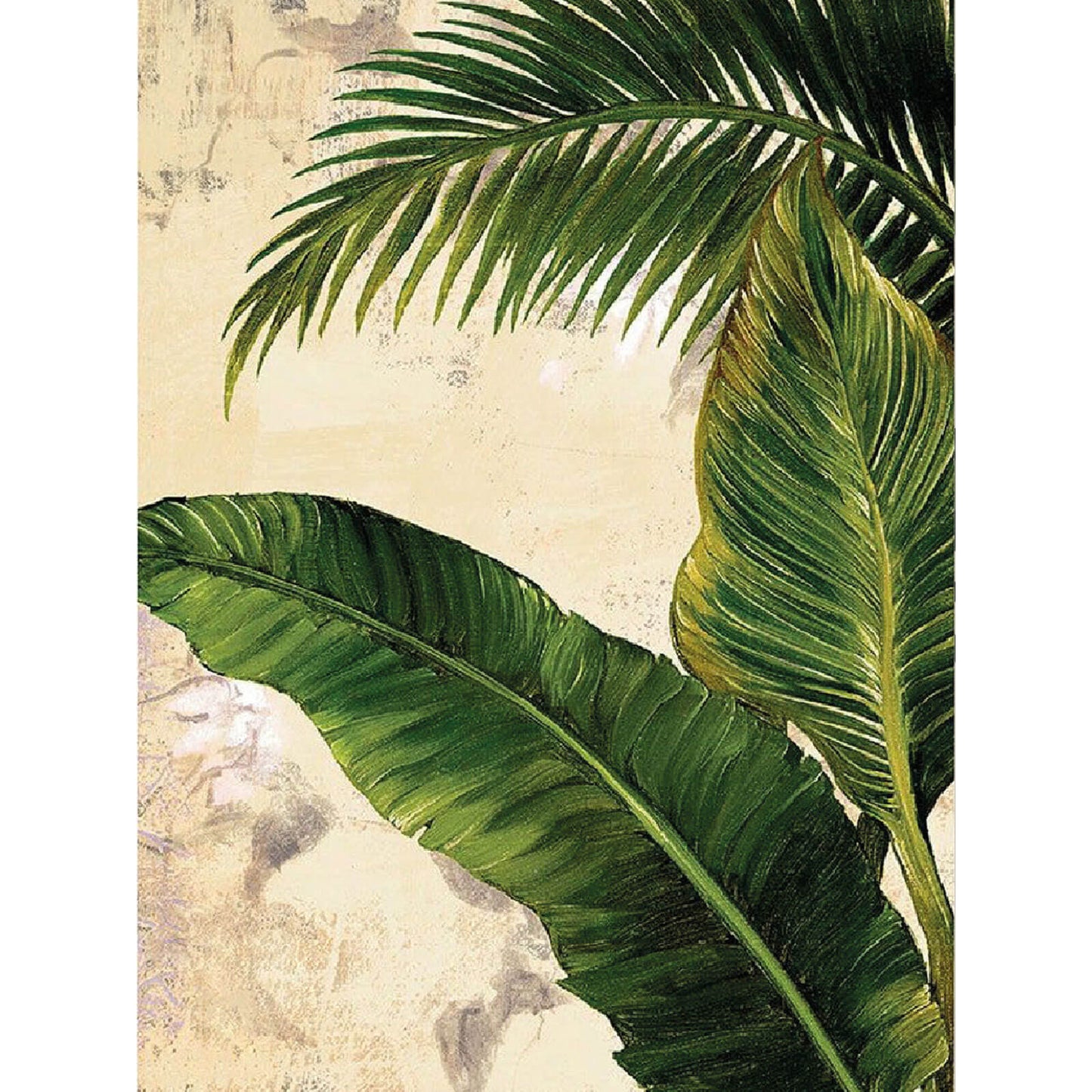 Painting by numbers - ME1165e - Tropics Image 3