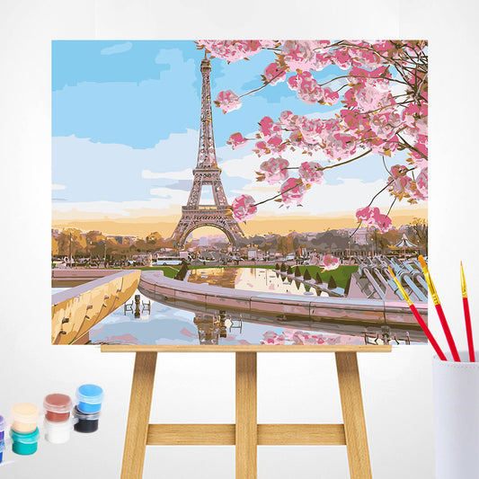 Painting by numbers - MG2133e - Paris in Blossom