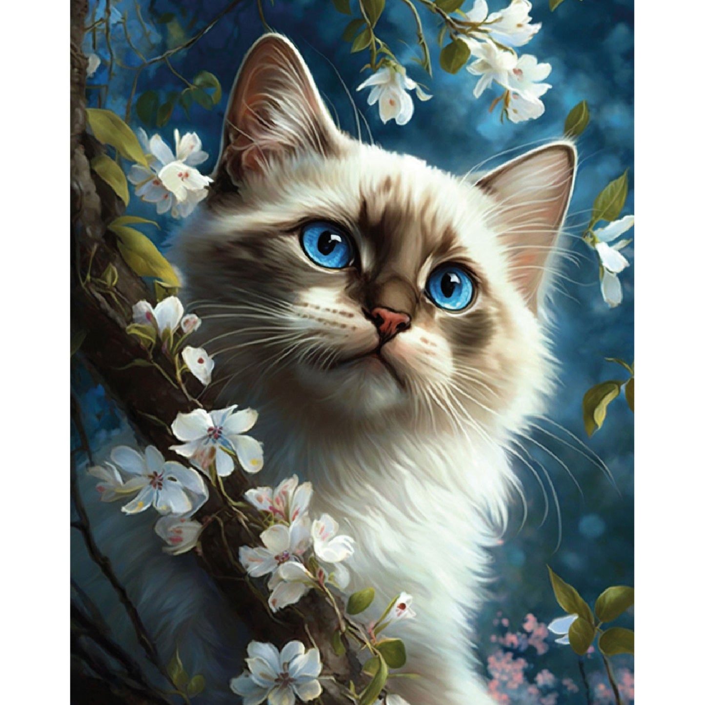 Painting by numbers - MG2476e - Cat's harmony