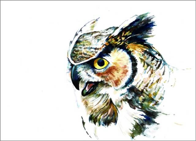 Diamond painting - LE016e - Great Horned Owl Image 1